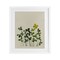 Stupell Industries Hidden Gems Botanicals Framed Print Under Glass, design by Grace Popp